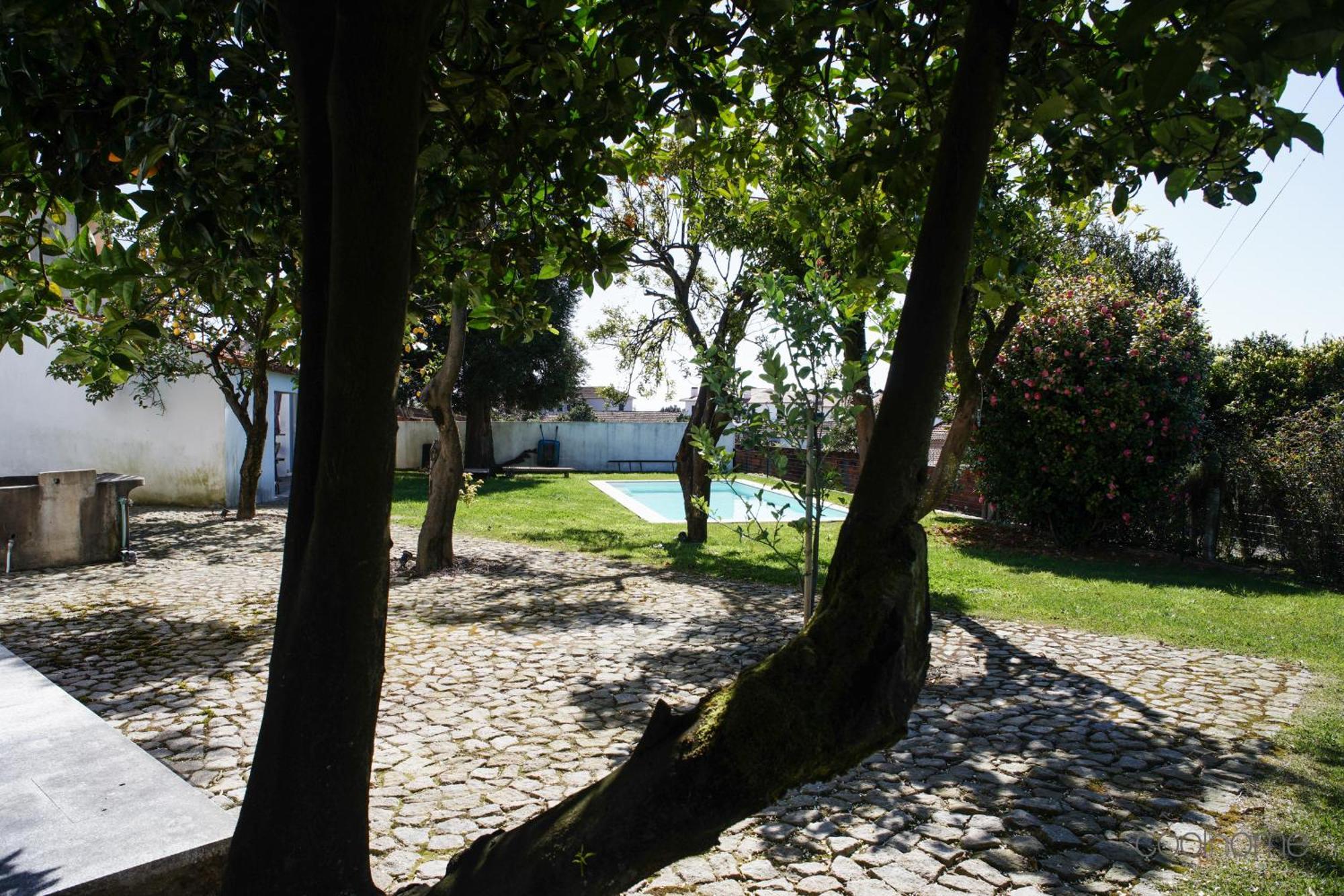 Villa 12 Casa D'Avo Albergaria-a-Velha Esterno foto